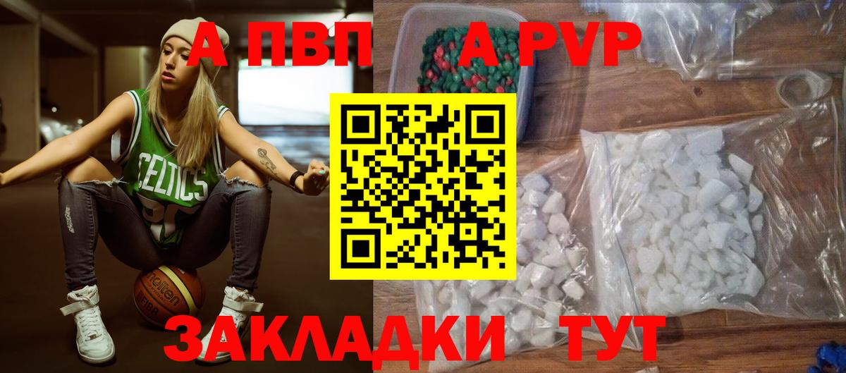 A PVP СК Будённовск