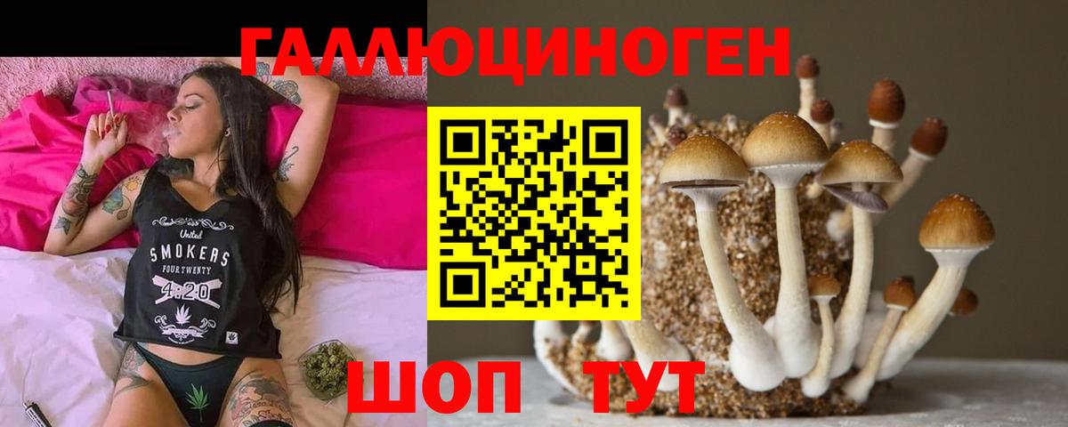 Будённовск  Псилоцибиновые грибы Psilocybe  наркотики  Вход с VPN 